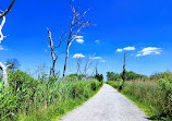 Cattus Island County Park