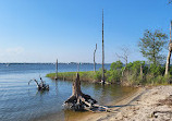 Cattus Island County Park