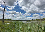 Cattus Island County Park