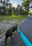 Cattus Island County Park