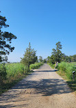 Cattus Island County Park