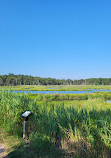 Cattus Island County Park