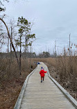 Cattus Island County Park