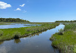 Cattus Island County Park