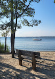 Cattus Island County Park