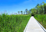 Cattus Island County Park