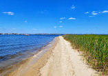 Cattus Island County Park