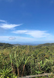 Valle Escondido Nature Reserve