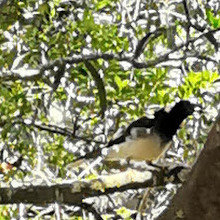 Valle Escondido Nature Reserve