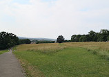 Sunny Hill Park