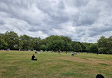 The Green Park