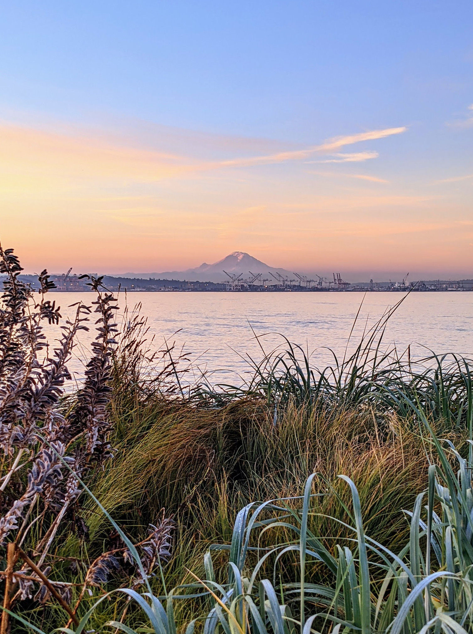 Elliott Bay Park