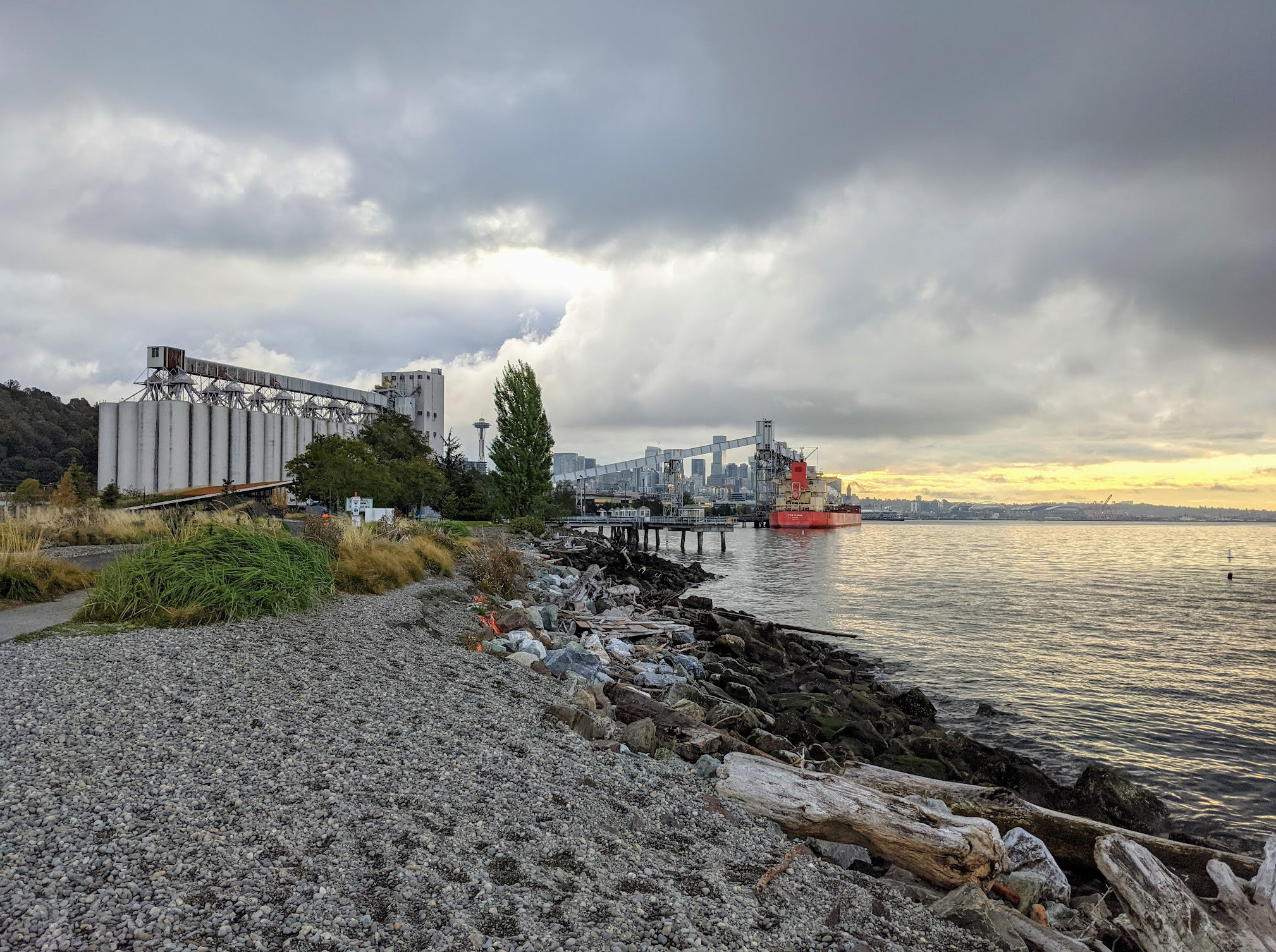 Elliott Bay Park