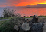 Elliott Bay Park