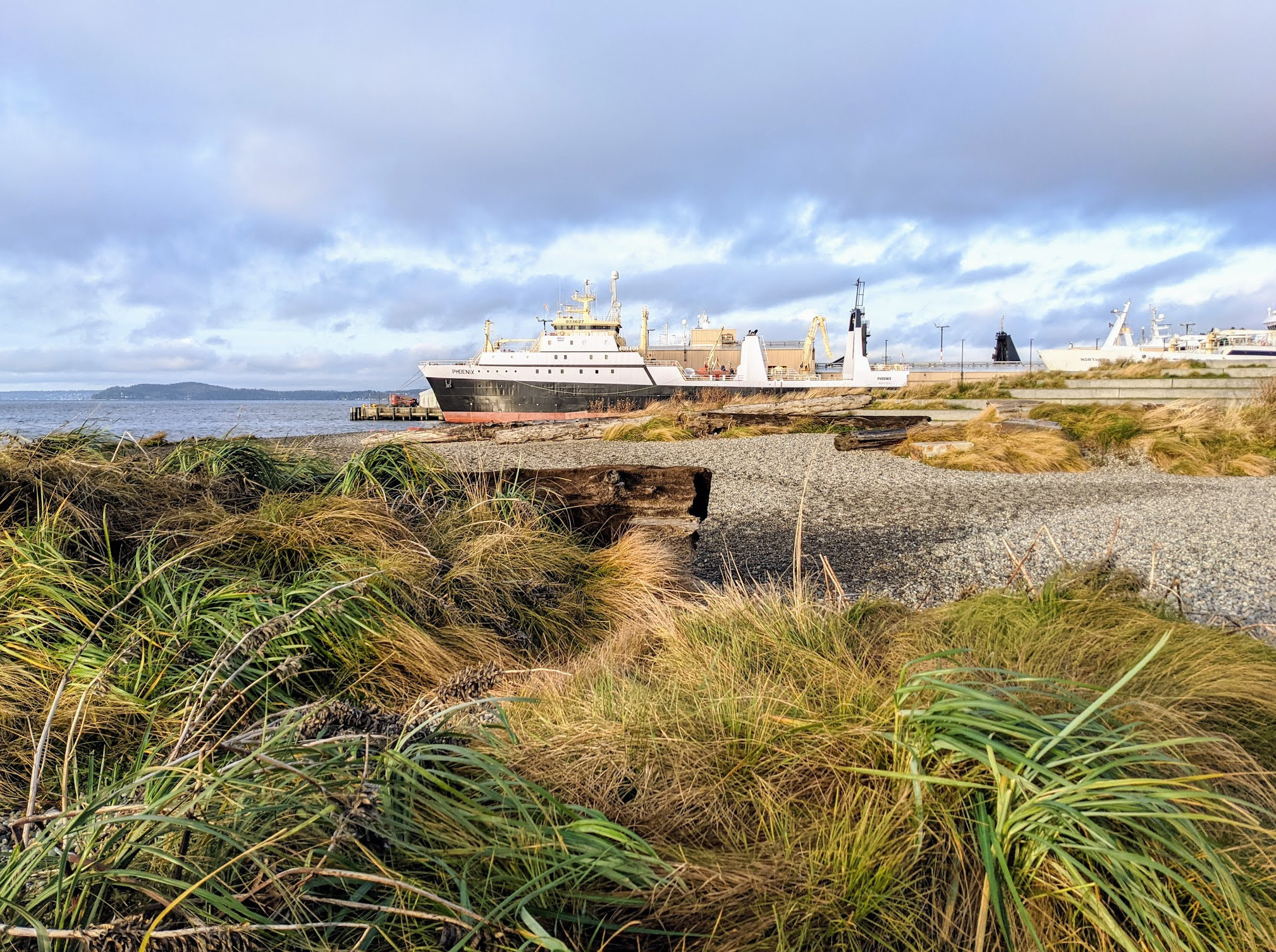 Elliott Bay Park