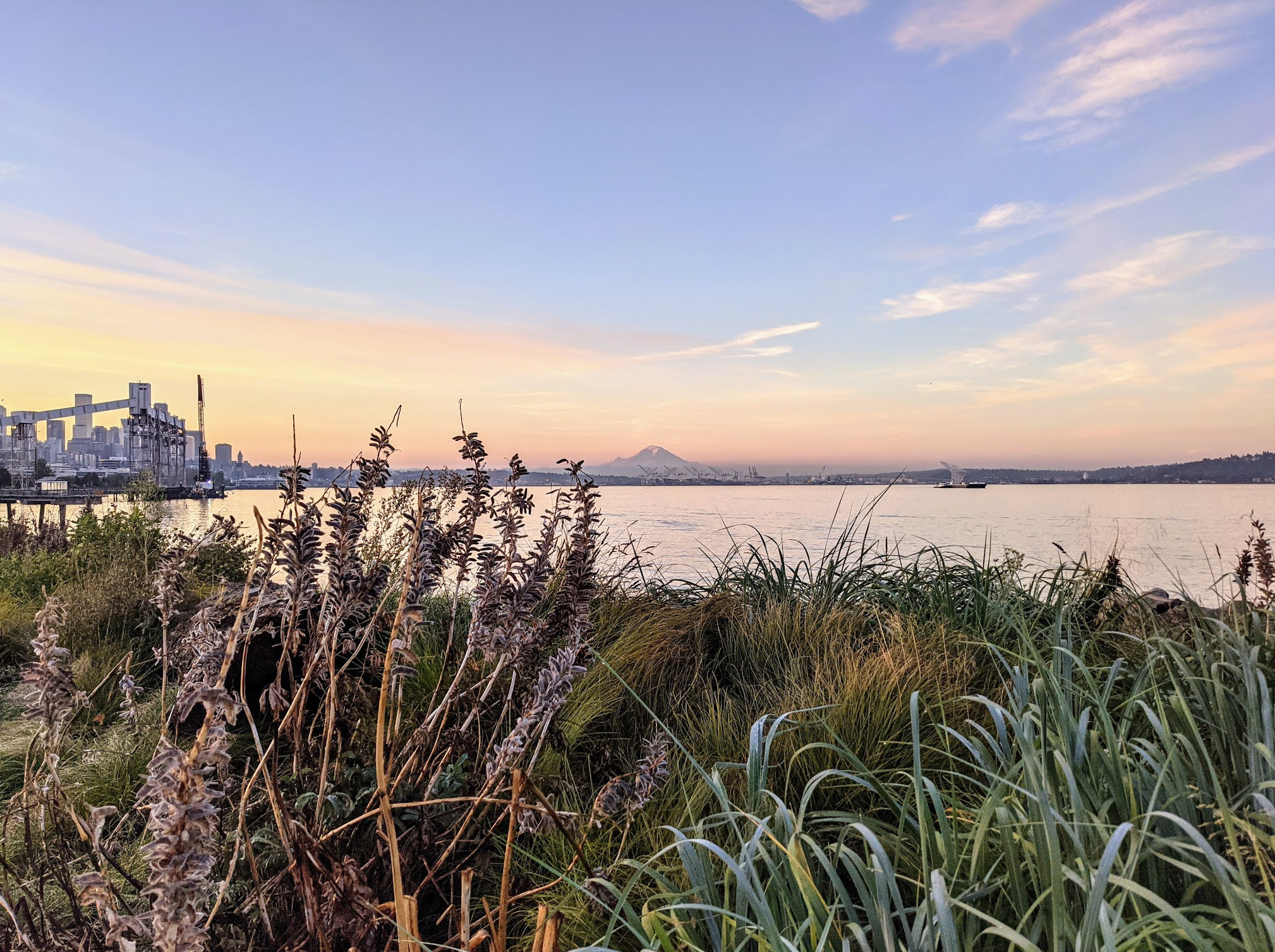 Elliott Bay Park