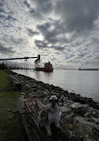 Elliott Bay Park