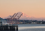 Elliott Bay Park