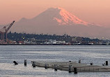 Elliott Bay Park