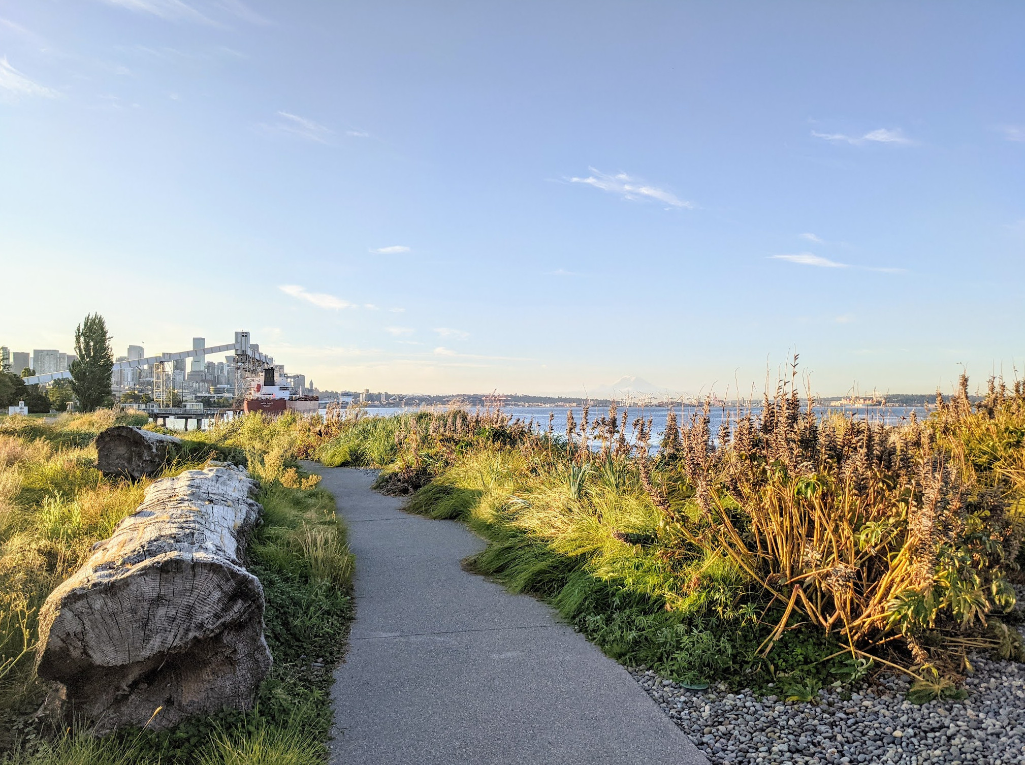 Elliott Bay Park