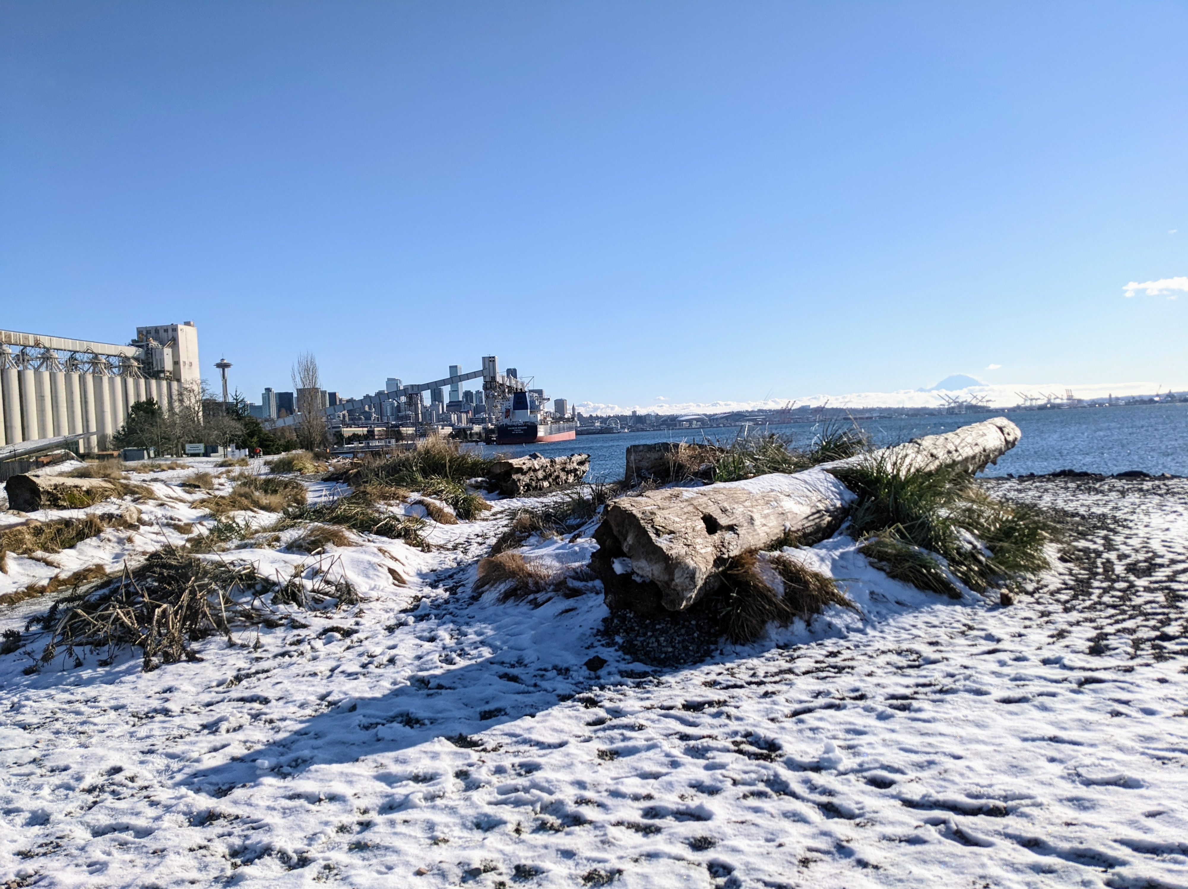 Elliott Bay Park