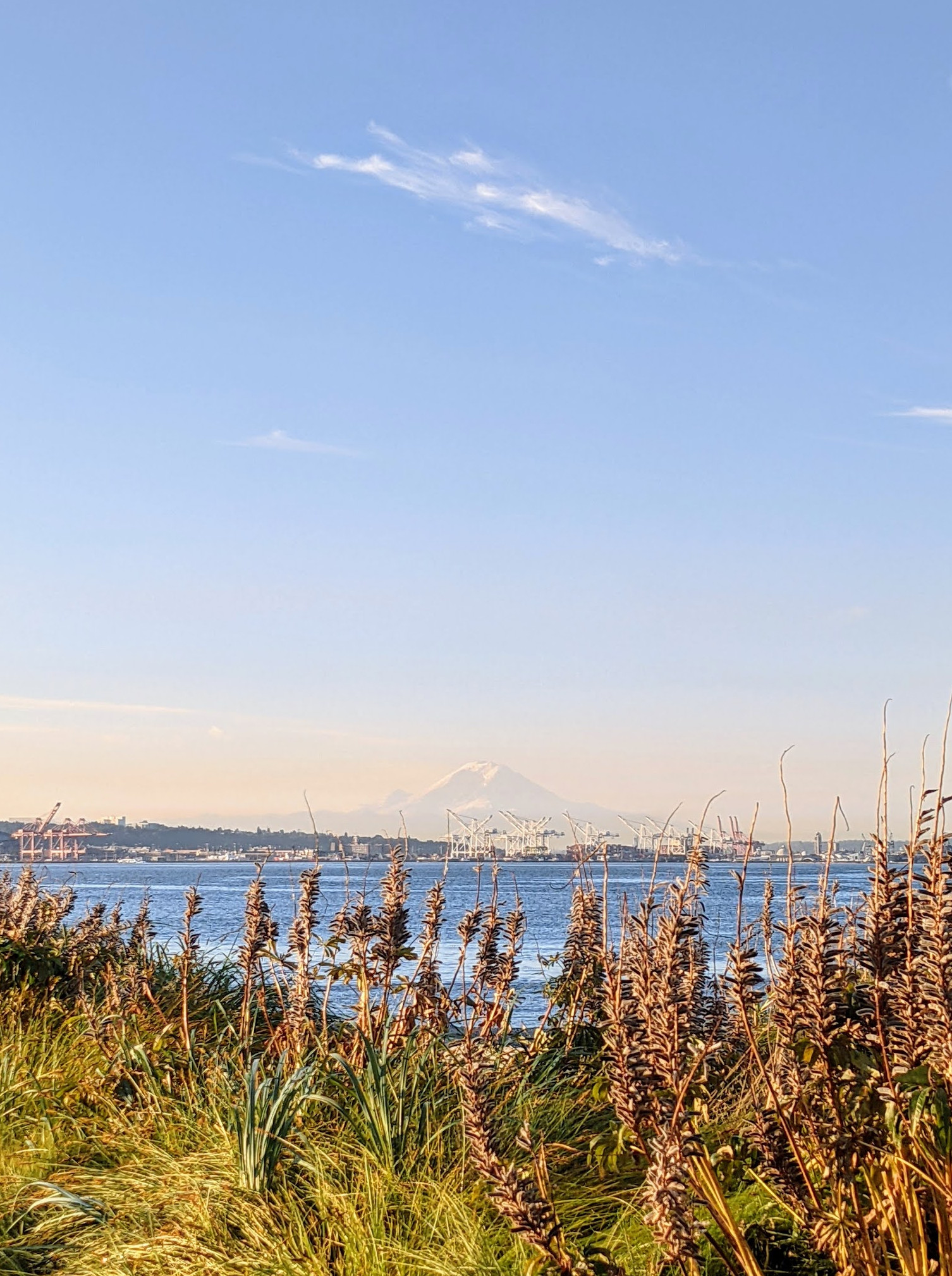 Elliott Bay Park