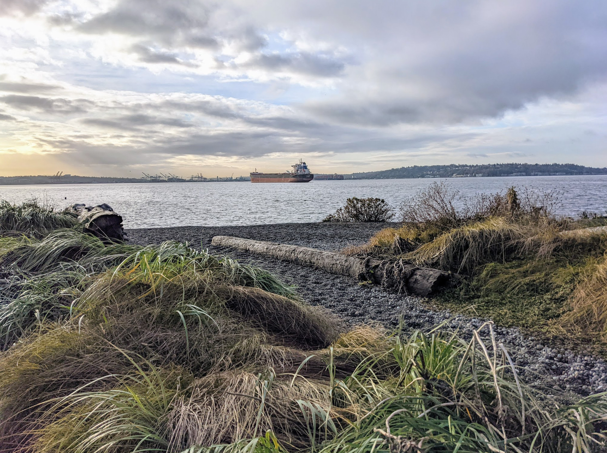 Elliott Bay Park