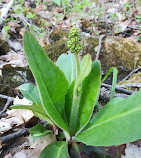 Spirit Mountain Recreation Area