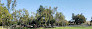 Santiago Hills Park