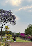 Parque Bicentenario