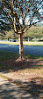 New Orleans City Park