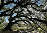 New Orleans City Park