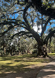 New Orleans City Park