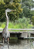 New Orleans City Park