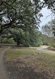 Audubon Park