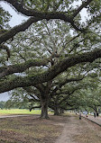 Audubon Park