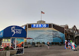 PIER 39