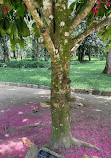 Botanische tuin van Curitiba