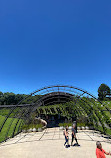 Jardín botánico de Curitiba
