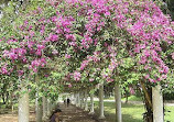 Botanische tuin van Curitiba