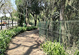Ботанический сад Куритибы