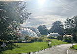 Botanical Garden