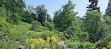 الحديقة النباتية لجامعة زيوريخ