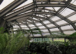 باغ گیاه شناسی و موزه گیاه شناسی