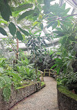 باغ گیاه شناسی و موزه گیاه شناسی