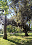 Parque Quinta Normal
