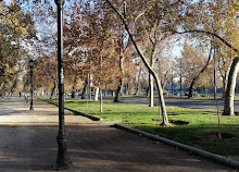 Parque Forestal