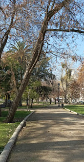 Parque Forestal