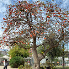 Juan Pablo II Park