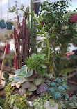 Mercado de plantas loma verde